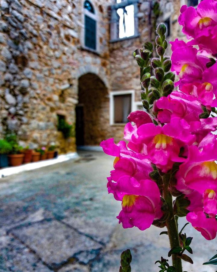 Chios Mantalenas Apartments Vésza Kültér fotó