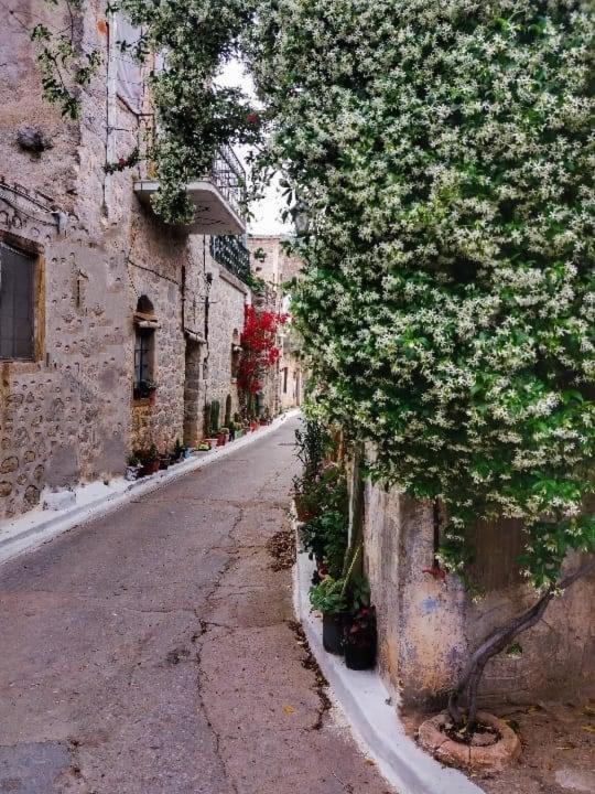 Chios Mantalenas Apartments Vésza Kültér fotó