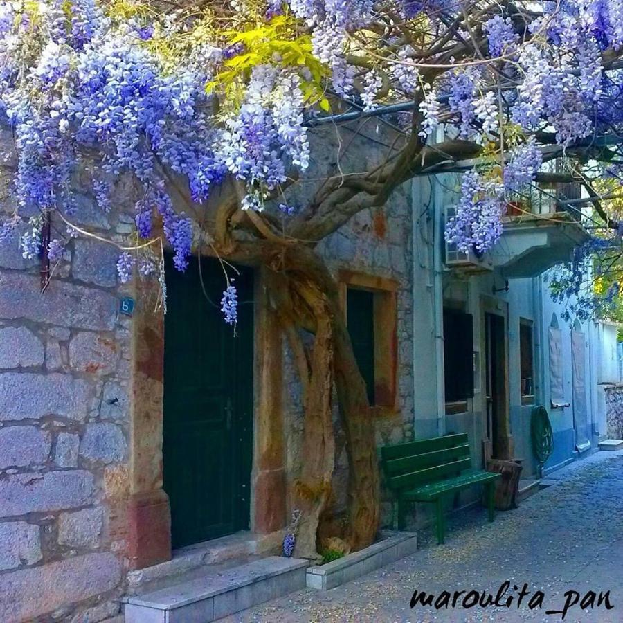 Chios Mantalenas Apartments Vésza Kültér fotó